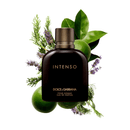 DOLCE & GABBANA Intenso Eau de Parfum 男士香水 125ml 香港行貨